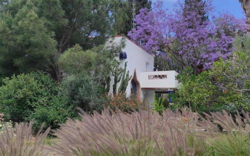 Benajarafe House | Casita 2