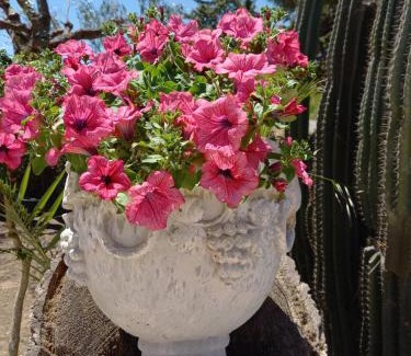 Caltagirone Bed & Breakfast | Casolare del Toscano Country Rooms