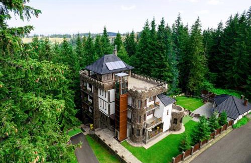 Paltinis House | Castelul de Piatra