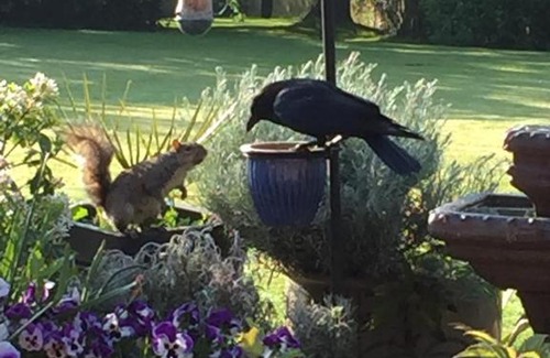 Kirby Muxloe Bed & Breakfast | Castle Farmhouse Bed and Breakfast