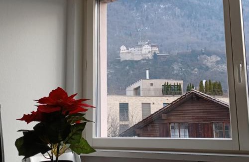 Vaduz Apartment | Castle View Big Appartment Vaduz Center