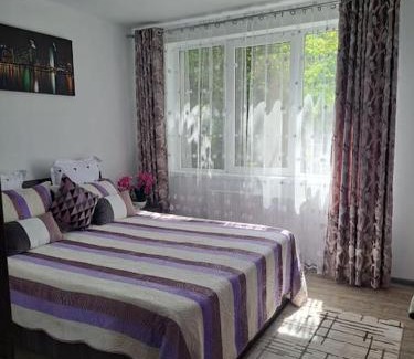 Campina Apartment | Casuta cu povesti
