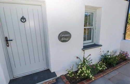Milford Haven House | Catamouse
