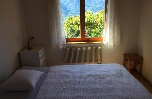 Tenero-Contra Apartment | Catarina