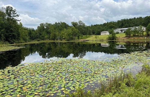 Stewart House | Catch and Relax! Private Family friendly house w/5 acre fishing pond.