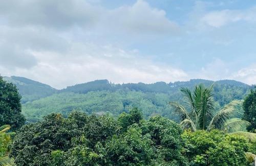 Peradeniya House | Cats Eye
