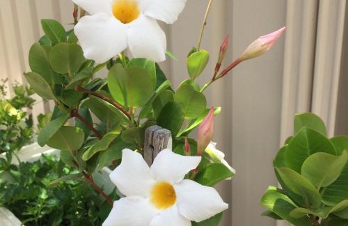 Beechboro Bed & Breakfast | Caversham B&B
