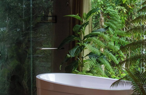 Mera Cabin | Cedro Amazon Lodge