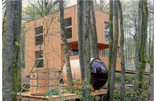 Saint-Nabord Cabin | Celestial cabin with private sauna and Scandinavian bath! Near the ski slopes