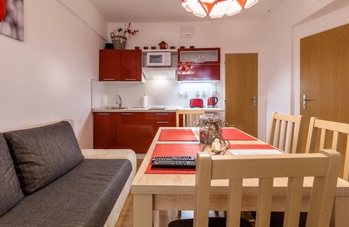 Karlovy Vary Apartment | CENTRAL KV APARTMENT "U medvídků"