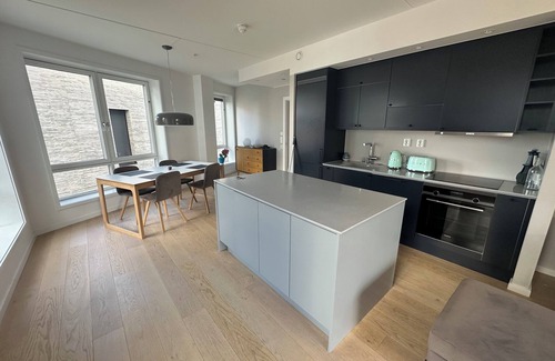 Bjørvika Apartment | Central Luxurious Apartment Barcode Oslo