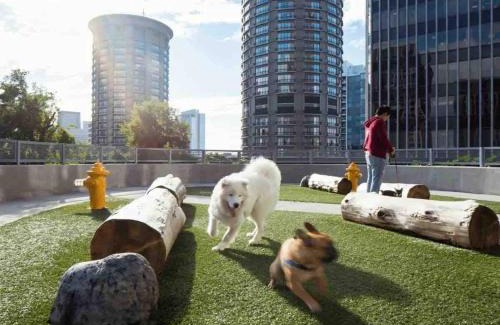 The Gulch Apartment | Central Nashville Luxe 2 Bed 2 Bath Suite