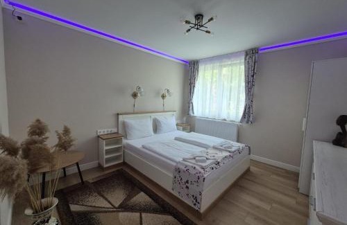 Odorheiu Secuiesc Apartment | Central Park apartman