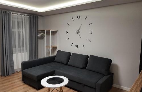 Rybnik Apartment | Central Platinum Apartments 14