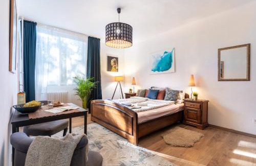 Szekesfehervar Apartment | Central Studio Apartment