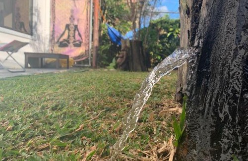 San Antonio de Belen House | Centro Holistico Casa Orion