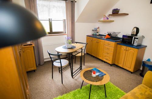 Nekor Apartment | Centrum Pastvinská přehrada