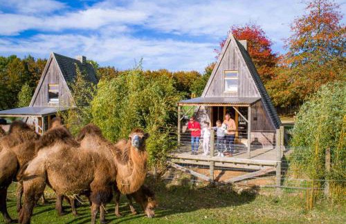 Hermival-les-Vaux Other | Cerza Safari Lodge