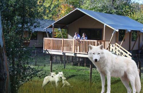 Hermival-les-Vaux Other | Cerza Safari Lodge