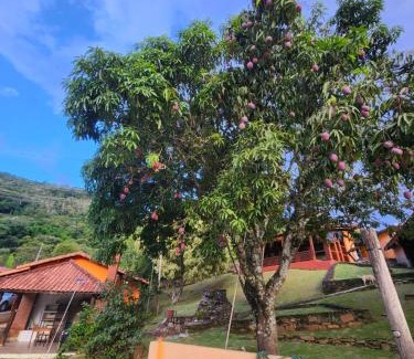 Monte Alegre do Sul Villa | Chácara Tedeschi