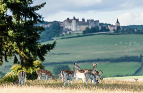 Sainte-Sabine Hotel | Château Sainte Sabine