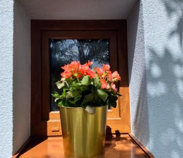 Moravske Lieskove House | Chalúpka pod Javorinou