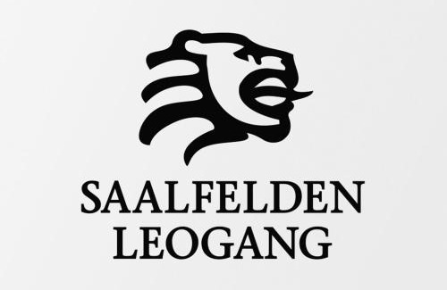Saalfelden am Steinernen Meer House | Chalet in Saalfelden near Ski Slopes