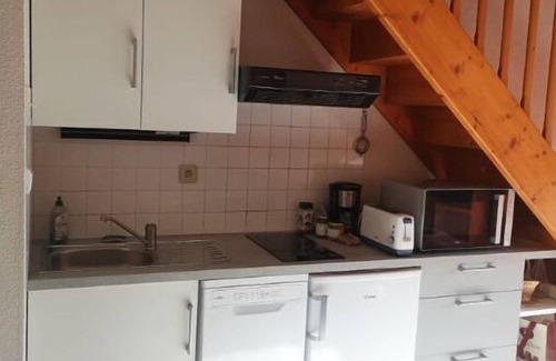 Ancizan Apartment | Chalet au Pied du Pic du mid sur le Lac de Payolle