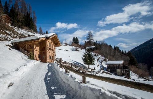 Rabbi Ski Chalet | Chalet Bambi