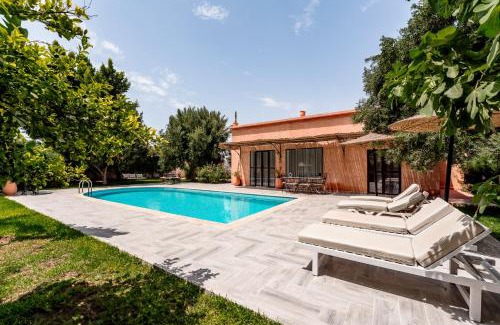 Ida Ougourd Villa | Chalet berbère 2 Chambres avec Piscine &Wifi fibre