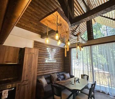 Dospat Ski Chalet | CHALET ELEVEN