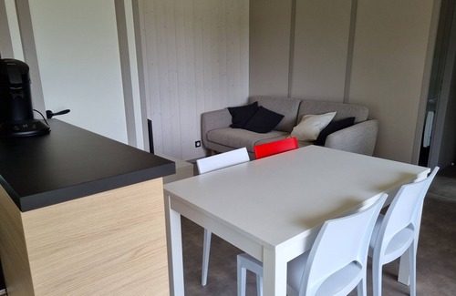 Hasparren Ski Chalet | Chalet Etxetxoa, for 1 to 4 people with SPA, private land and swimming pool