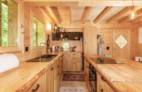 Rossiniere Apartment | Chalet in Rossiniere near Glacier & Lake