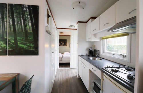Tzummarum House | Chalet in Tzummarum near Frisian Countryside