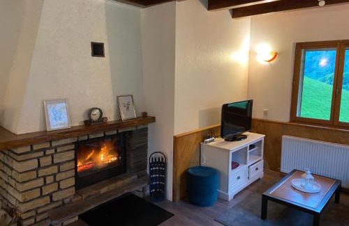Sainte-Marie-de-Campan Ski Chalet | Chalet L'Arbizon Campan