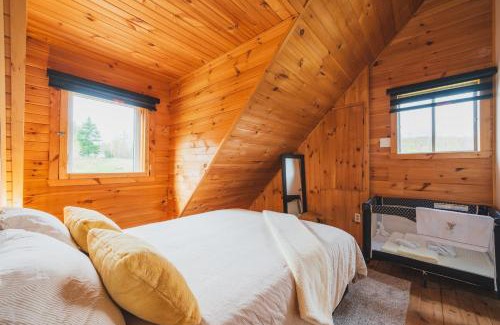 Mandeville Ski Chalet | Chalet Lagunak