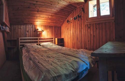 Salvan Ski Chalet | Chalet les Mésanges - Salvan