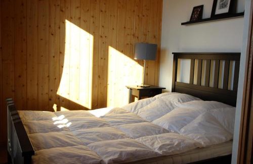 Chamrousse Ski Chalet | Chalet Mitoyen à Chamrousse, 8 pers, 3 niveaux, 4 chambres, Animaux admis, Terrasse Sud-Ouest - FR-1-549-105
