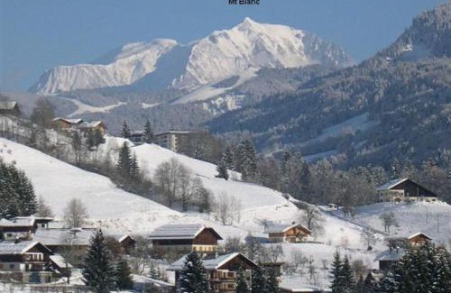 Flumet Apartment | Chalet Mon Idole