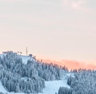 Le Planellet Ski Chalet | Chalet Mont d'Arbois Ski et Golf