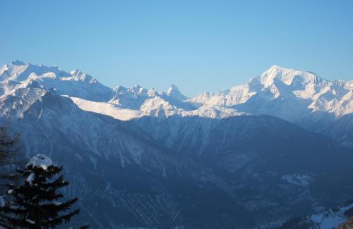 Bettmeralp Ski Chalet | Chalet Mungg