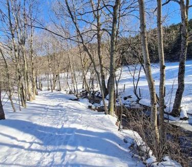 Murat House | Chalet, Murat (nouveau logement)