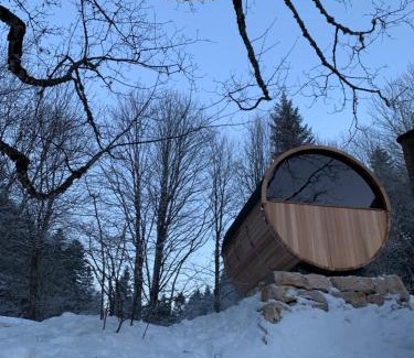 Saint-Cergue Apartment | Chalet OTT - apartment in the mountains with sauna