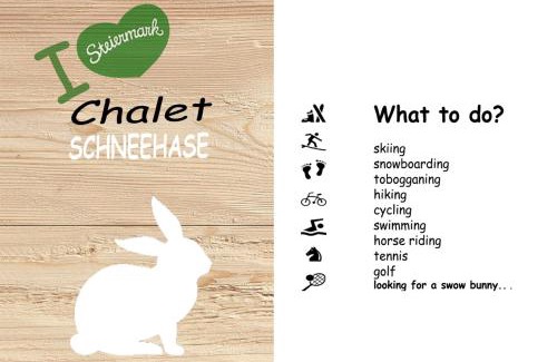 Stadl an der Mur Ski Chalet | Chalet ?Snow Bunny?