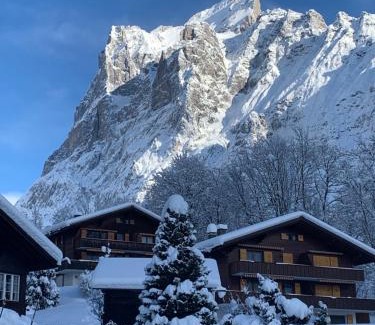 Grindelwald Apartment | Chalet Sunneblick