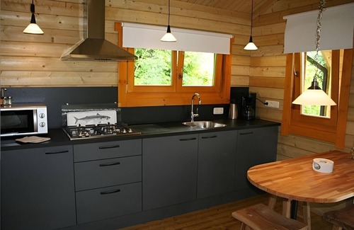 Zoutkamp Ski Chalet | Chalet the Kingfisher on small nature campsite 't Ol Gat