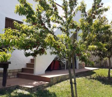 Conil de la Frontera House | Chalet Zorollo con piscina