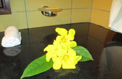 Anse Royale Apartment | Chalets Bougainville