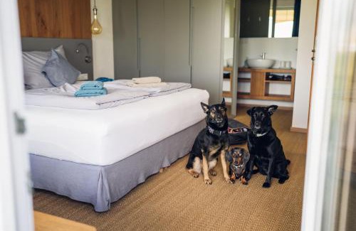 Sopronkovesd Hotel | Chalets Franciska Major, Pro Village