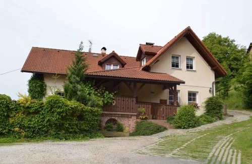 Vichova nad Jizerou House | Chalupa Dana